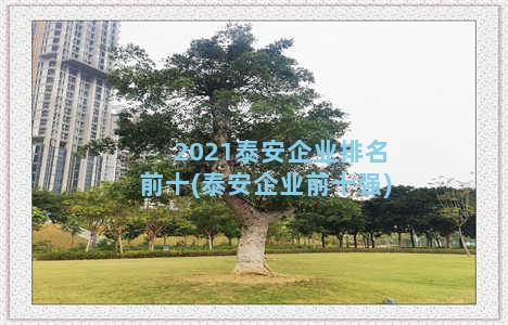 2021泰安企业排名前十(泰安企业前十强)