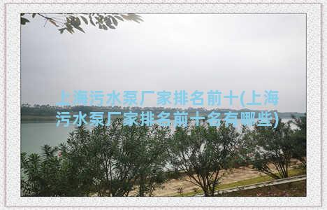 上海污水泵厂家排名前十(上海污水泵厂家排名前十名有哪些)