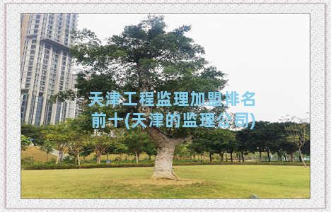 天津工程监理加盟排名前十(天津的监理公司)