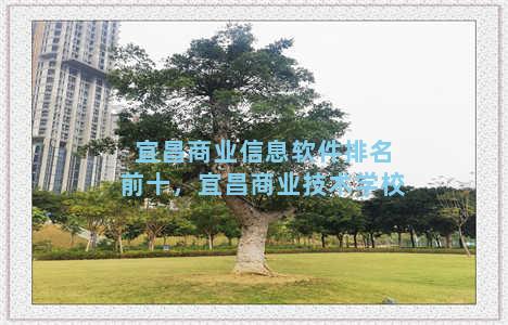 宜昌商业信息软件排名前十，宜昌商业技术学校
