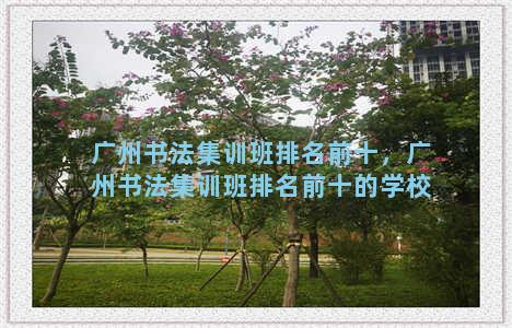 广州书法集训班排名前十，广州书法集训班排名前十的学校