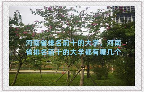 河南省排名前十的大学，河南省排名前十的大学都有哪几个